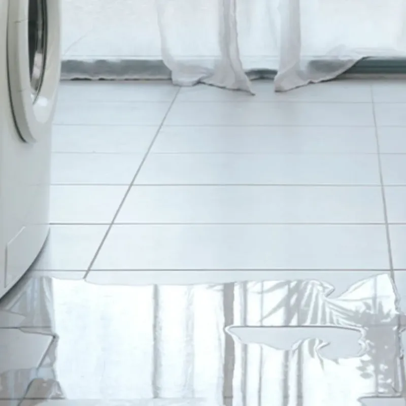 Appliance Leak Cleanup in Monroe County, WV