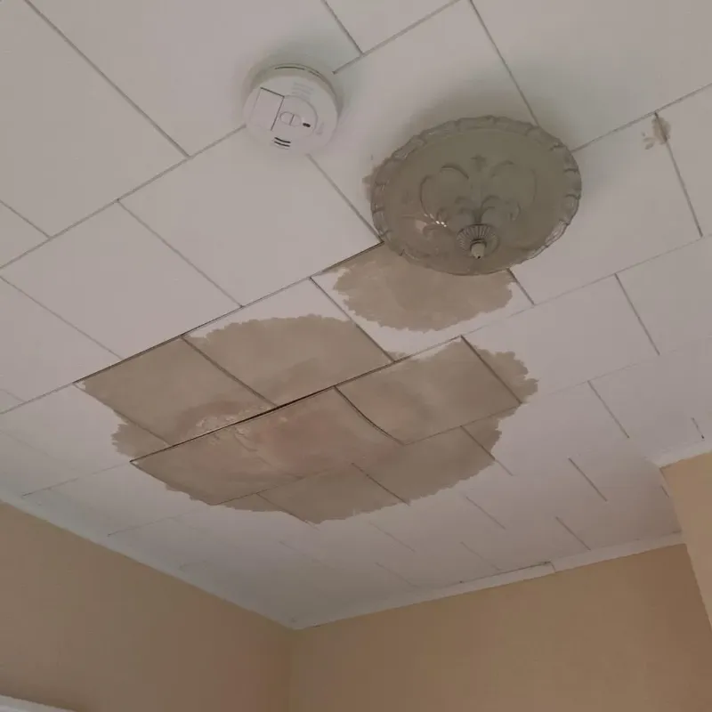 Ceiling Water Damage Repair in Monroe County, WV