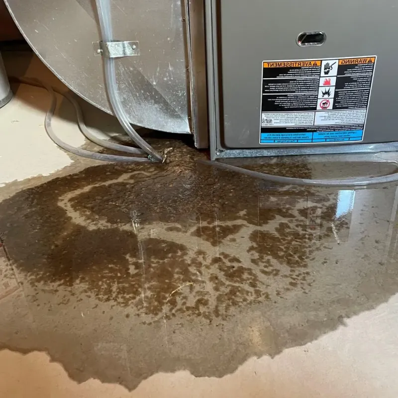 Pipe Burst and Leak Restoration in Monroe County, WV