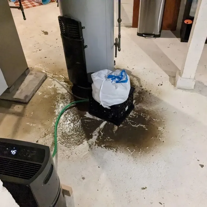Sewage Backup Cleanup Service in Monroe County, WV